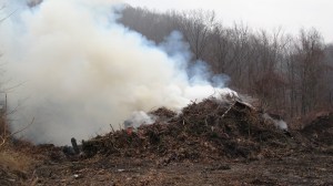 ???????????????????????????????