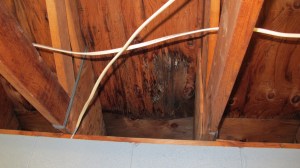 Need Volunteers, North and Middle Ward Playground, Tamaqua, 3-18-2014 (4)