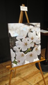 Silent Auction, International Women's Day Celebration, Community Arts Center, Tamaqua, 3-8-2014 (5)