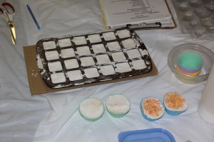 Soap Making Class, Community Arts Center, Tamaqua, 3-1-2014 (131)