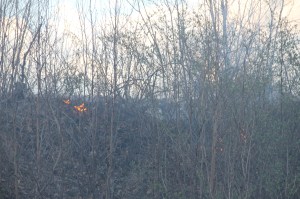 Brush Fire, Duth Hill, Tamaqua, 4-26-2014 (12)