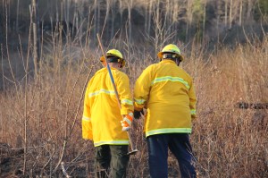 Brush Fire, Duth Hill, Tamaqua, 4-26-2014 (135)