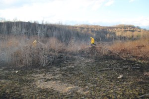 Brush Fire, Duth Hill, Tamaqua, 4-26-2014 (145)