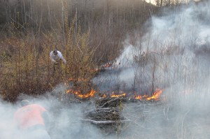Brush Fire, Duth Hill, Tamaqua, 4-26-2014 (58)