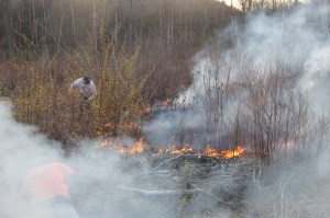 Brush Fire, Duth Hill, Tamaqua, 4-26-2014 (59)