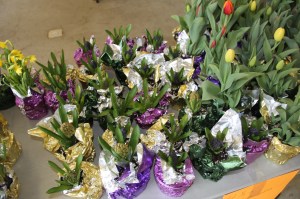 Coaldale Lions Club Easter Candy and Flower Sale, Ambulance Building, Coaldale (11)