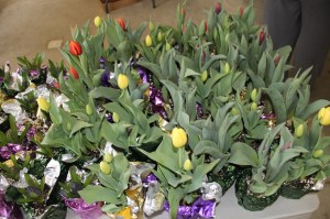 Coaldale Lions Club Easter Candy and Flower Sale, Ambulance Building, Coaldale (12)