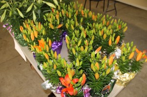 Coaldale Lions Club Easter Candy and Flower Sale, Ambulance Building, Coaldale (13)