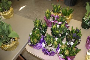 Coaldale Lions Club Easter Candy and Flower Sale, Ambulance Building, Coaldale (15)