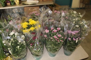 Coaldale Lions Club Easter Candy and Flower Sale, Ambulance Building, Coaldale (17)