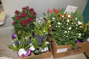 Coaldale Lions Club Easter Candy and Flower Sale, Ambulance Building, Coaldale (18)