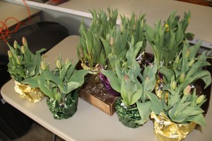 Coaldale Lions Club Easter Candy and Flower Sale, Ambulance Building, Coaldale (19)