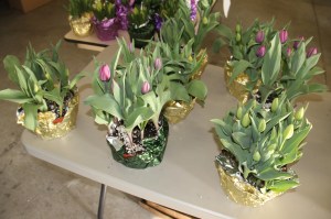 Coaldale Lions Club Easter Candy and Flower Sale, Ambulance Building, Coaldale (20)