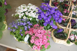 Coaldale Lions Club Easter Candy and Flower Sale, Ambulance Building, Coaldale (25)