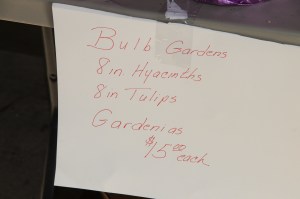 Coaldale Lions Club Easter Candy and Flower Sale, Ambulance Building, Coaldale (27)