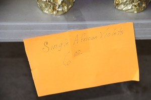 Coaldale Lions Club Easter Candy and Flower Sale, Ambulance Building, Coaldale (29)