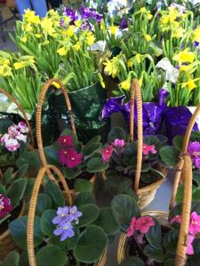 Coaldale Lions Club Easter Candy and Flower Sale, Ambulance Building, Coaldale 3