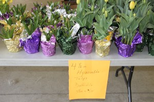 Coaldale Lions Club Easter Candy and Flower Sale, Ambulance Building, Coaldale (30)
