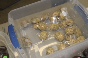 Coaldale Lions Club Easter Candy and Flower Sale, Ambulance Building, Coaldale (35)