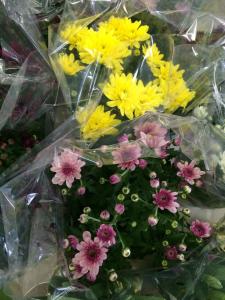 Coaldale Lions Club Easter Candy and Flower Sale, Ambulance Building, Coaldale 6