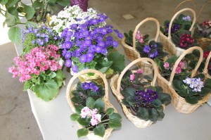 Coaldale Lions Club Easter Candy and Flower Sale, Ambulance Building, Coaldale (8)