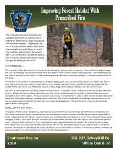 Controlled Burn, Rush Township, 2014-SGL 227 - White Oak Burn, page 1
