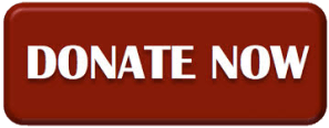donate now