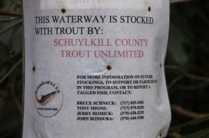 Fishing, Locust Creek, Little Schuylkill, Rush Township, 4-18-2014 (1)