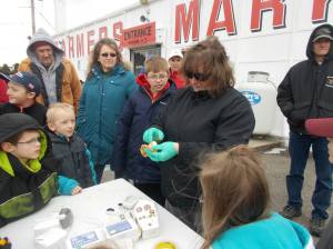 From Sandy Focht Welsh, Egg Drop (1)