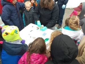 From Sandy Focht Welsh, Egg Drop (4)