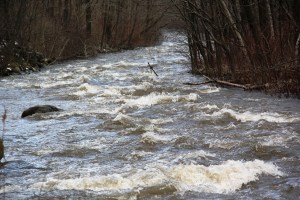 TamaquaArea.com File Photo