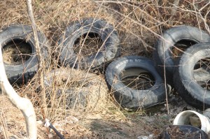 Litter Behind Tamaqua Middle School, Walker Township, 4-10-2014 (43)