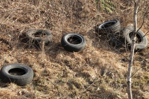 Litter Behind Tamaqua Middle School, Walker Township, 4-10-2014 (45)