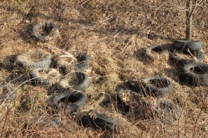 Litter Behind Tamaqua Middle School, Walker Township, 4-10-2014 (47)