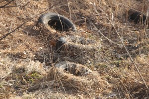 Litter Behind Tamaqua Middle School, Walker Township, 4-10-2014 (48)