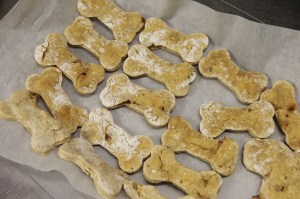 Making Doggie Biscuits, Salvation Army, Tamaqua, 4-28-2014 (10)