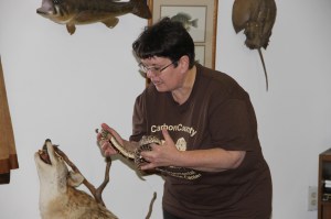 Reptile and Amphibian Program, Carbon County Environmental Education Center, Summit Hill (7)