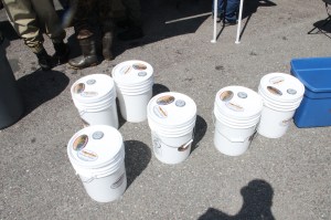 Trout Fishing Derby, via Chamber of Commerce, Schuylkill Trout Unlimited, Tamaqua (22)