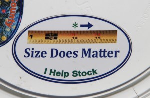 Trout Fishing Derby, via Chamber of Commerce, Schuylkill Trout Unlimited, Tamaqua (40)