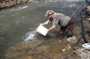 Trout Fishing Derby, via Chamber of Commerce, Schuylkill Trout Unlimited, Tamaqua (69)