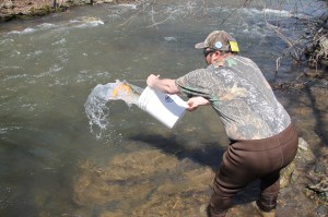 Trout Fishing Derby, via Chamber of Commerce, Schuylkill Trout Unlimited, Tamaqua (74)