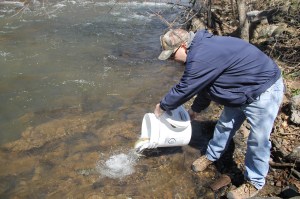 Trout Fishing Derby, via Chamber of Commerce, Schuylkill Trout Unlimited, Tamaqua (77)