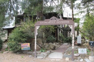 Up Close in the Garden, Watercolor Workshop, Stonehedge Gardens, South Tamaqua (1)
