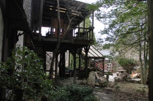 Up Close in the Garden, Watercolor Workshop, Stonehedge Gardens, South Tamaqua (3)