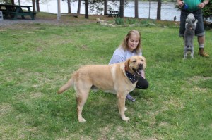 6th Annual Dog Walk, benefits Tamaqua Area Animal Rescue, Owl Creek Reservoir, Tamaqua (31)