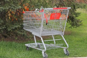 Abandoned Shopping Cart, South Railroad Street, Tamaqua (1)