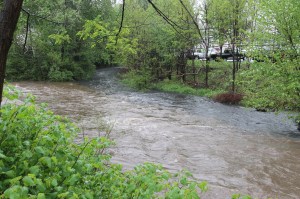 Combining of Waters, Little Schuylkill River, Tamaqua, 5-16-2014 (12)