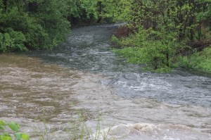 Combining of Waters, Little Schuylkill River, Tamaqua, 5-16-2014 (13)
