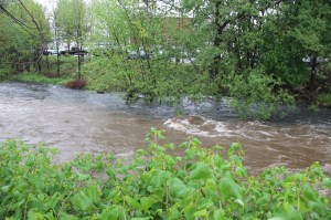 Combining of Waters, Little Schuylkill River, Tamaqua, 5-16-2014 (15)