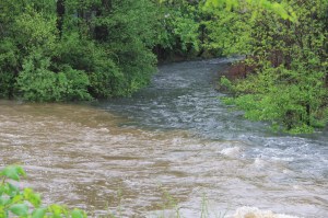Combining of Waters, Little Schuylkill River, Tamaqua, 5-16-2014 (5)
